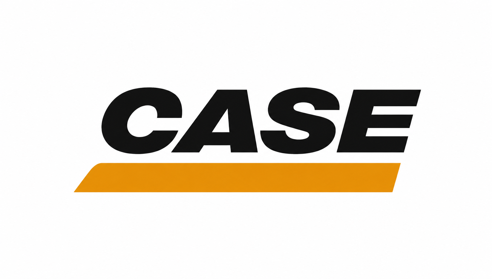 Case